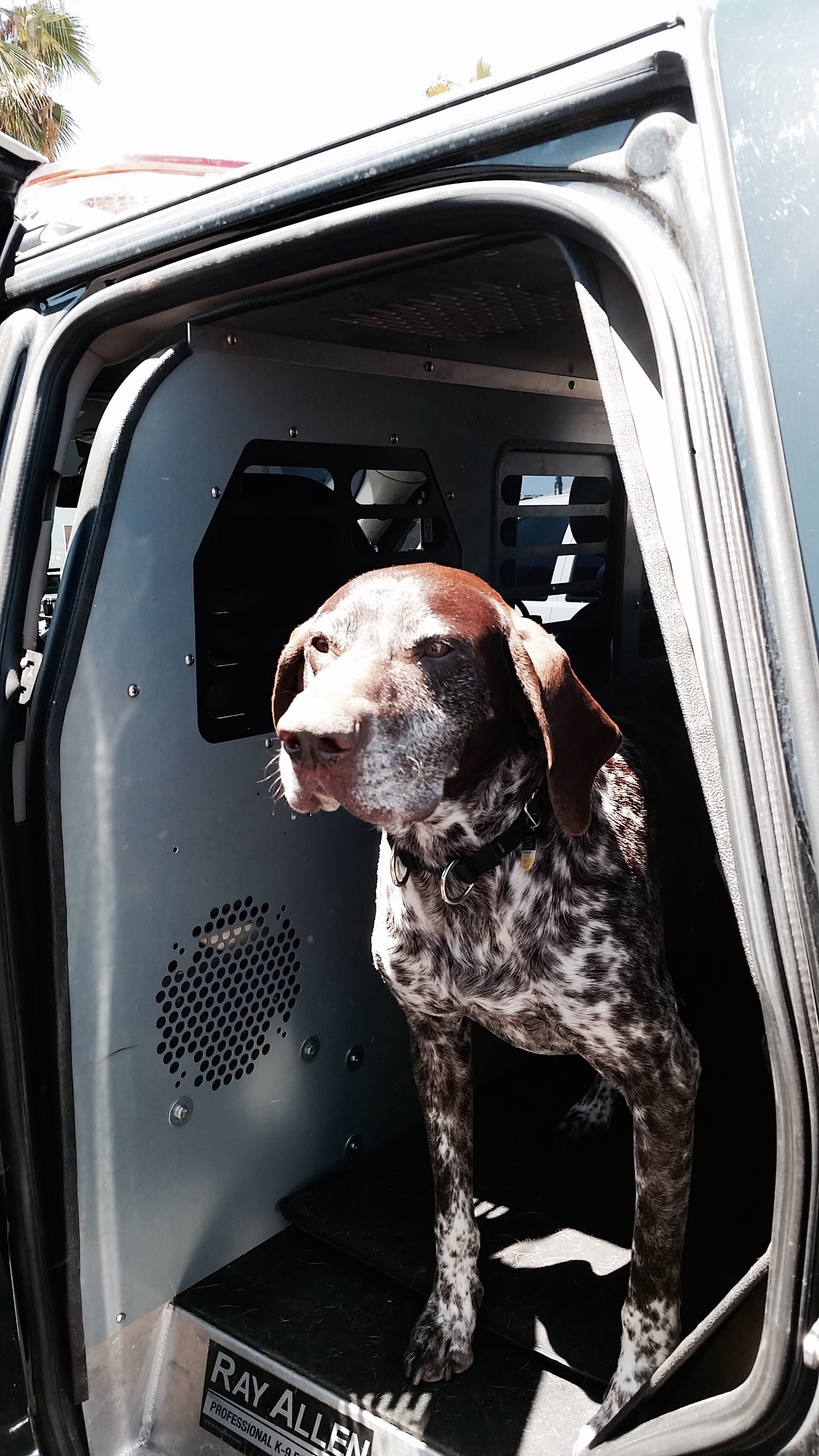 A look of determination: Folti's ready to get to work.