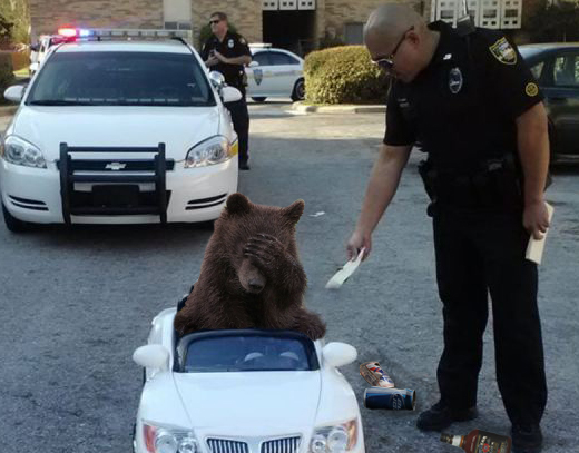 Photo via Reddit user