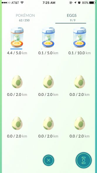 poke egg