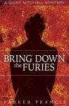 BringDownTheFuries_SMcvr