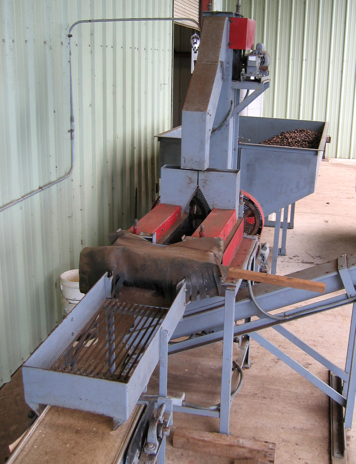 Macadamia integrifolia   - Machinery for removing the husk
