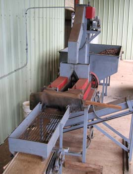 Macadamia integrifolia   - Machinery for removing the husk