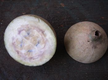 Genipa americana   - Whole and dissected fruit