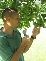 Calophyllum inophyllum   - Kamaui Aiona, Director of the Kahanu Garden of the NTBG speaking about Calophyllum inophyllum