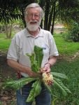 Barringtonia procera   - Sir Ghillean (Iain) T. Prance with flowering branch