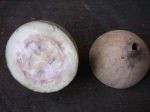 Genipa americana   - Whole and dissected fruit