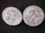 Genipa americana   - Fruit dissected