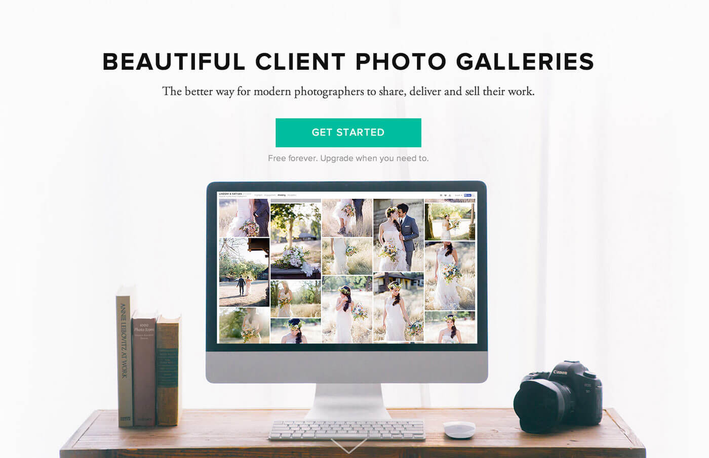 Social sharing built-in, Mobile Ready client gallery