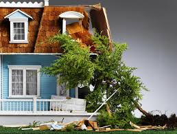What Do You Do if a Tree Falls!? (Start of Hurricane Season)