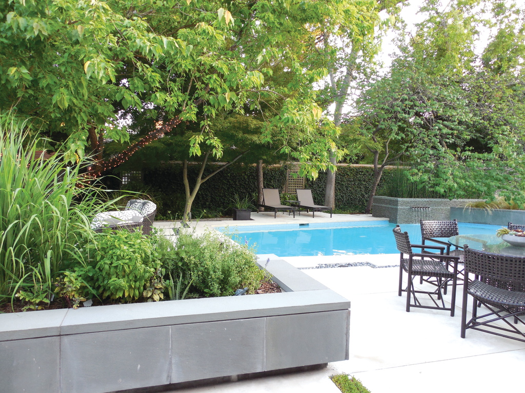 Zen pool For Residential Pros