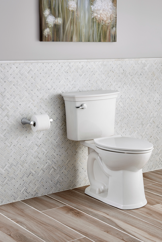 SelfCleaning Toilet For Residential Pros