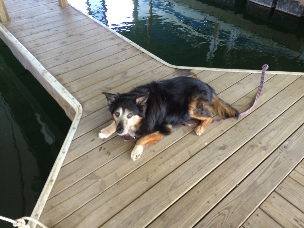 Porter kicking it on the dock waiting for us to depart