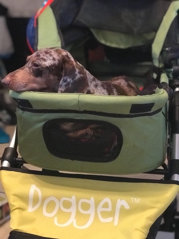 Dogger™ The SUV of Dog Strollers Dog Quality