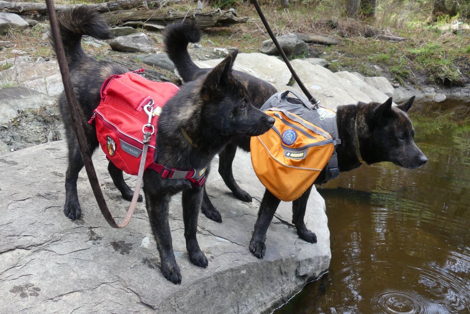 Singletrak™ Pack Dog Hydration Pack Ruffwear