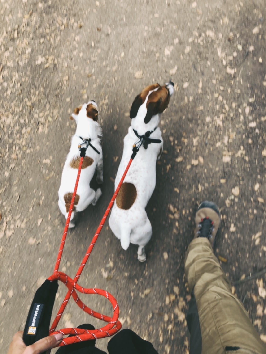 KnotaLeash™ Rope Dog Leash with Carabiner Ruffwear