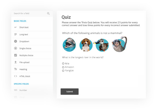 online Quiz maker with images and custom design