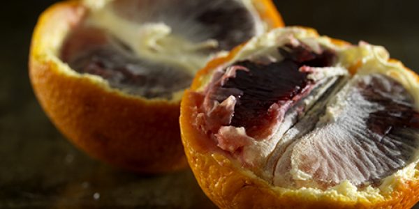 Blood Orange (still)