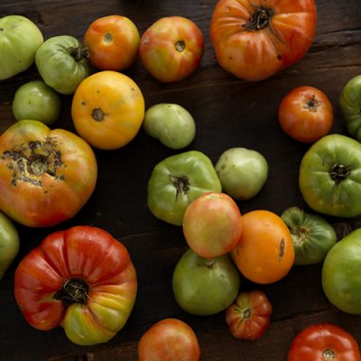 Heirloom Tomatoes (still)