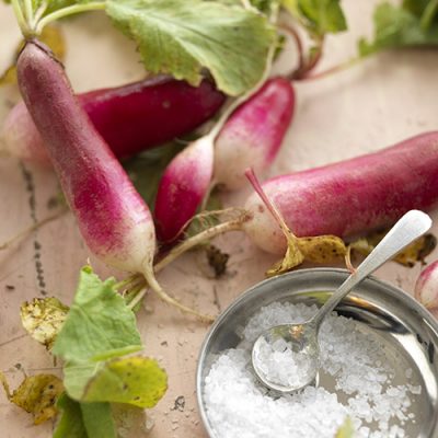 French Radish (still)