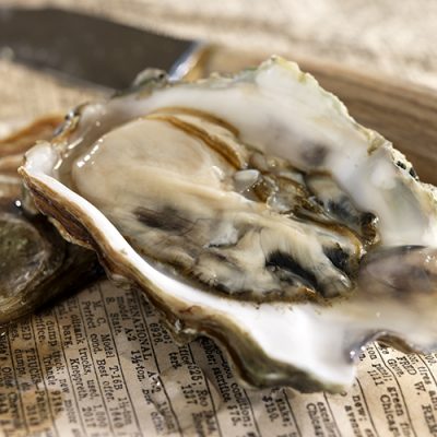 Oyster on Newspaper (who's hungry)