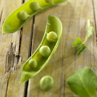 Peapod (who's hungry)