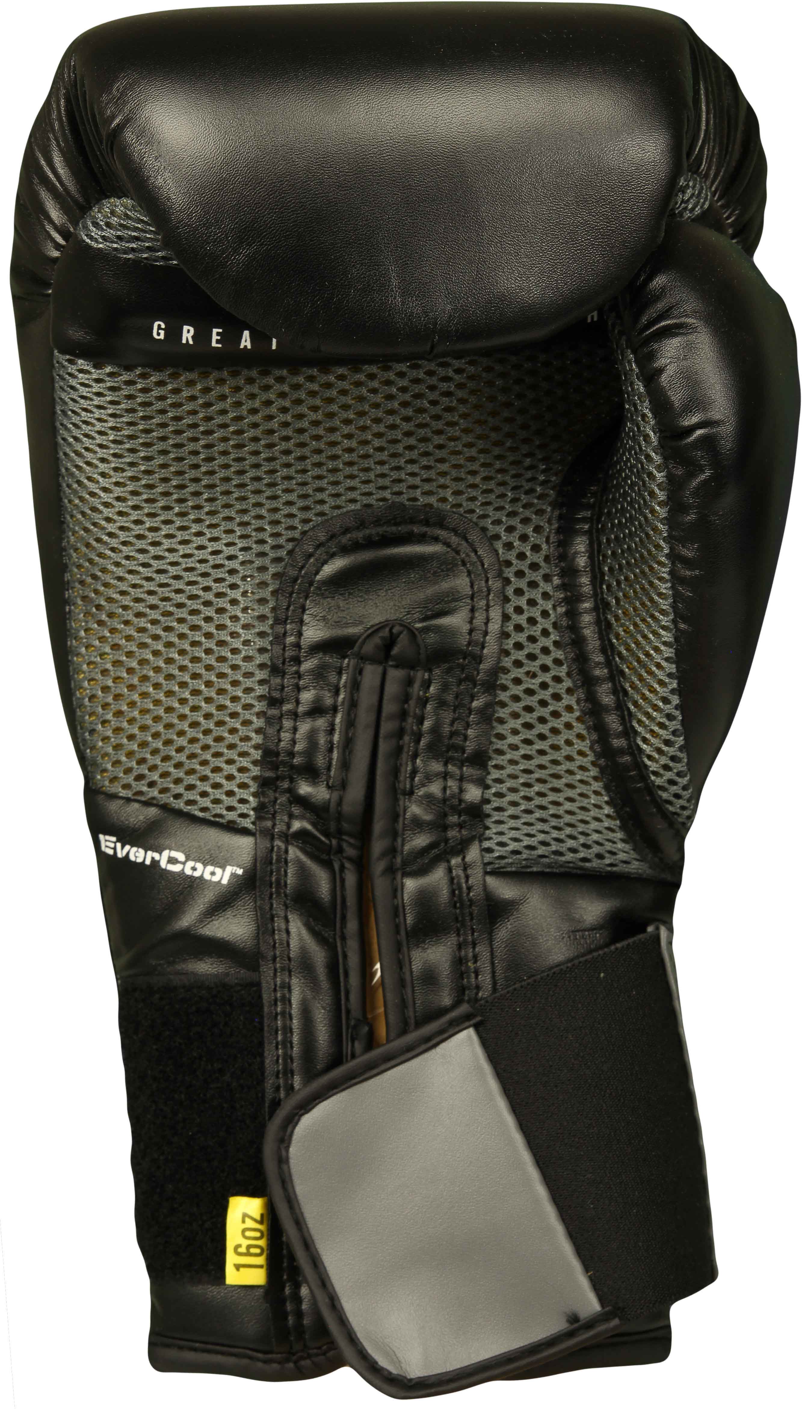 Everlast Protex 2 Boxing Gloves (Black) eBay