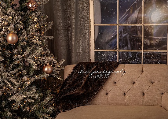 Booking for Santa Mini Session - Athens Location