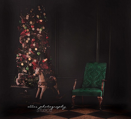 2020 Booking for Santa Mini Session - Athens Location Decemeber 5th
