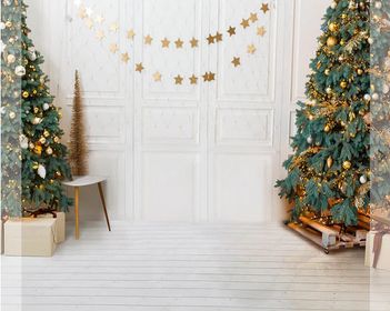 2022 Athens, AL - Indoor Holiday Mini Sessions