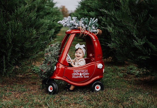2025 Christmas Tree Farm Mini Sessions- Athens, Alabama Location