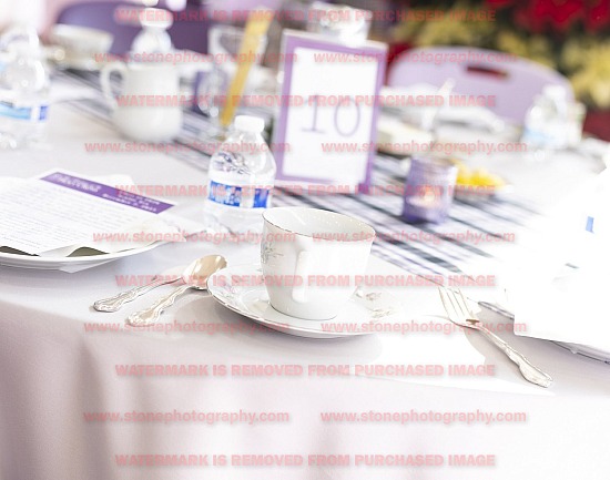 Senior Tea