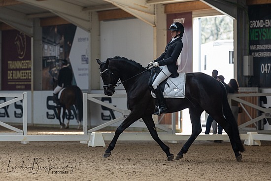 Winter Dressage Tour - Azelhof 08032026