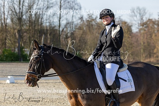 Winter Dressage Tour - HC Massenhoven 08022026