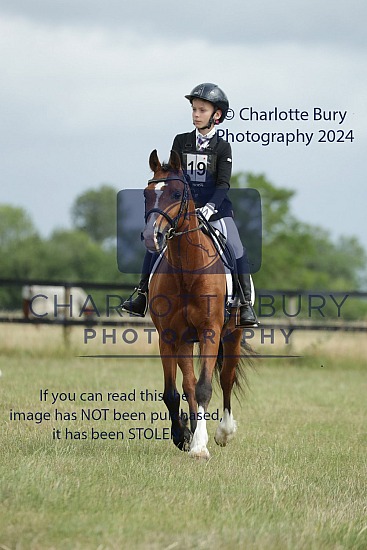 Area 12 Pony Club Dressage