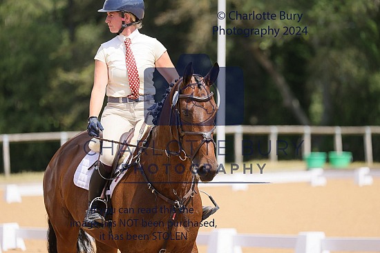 Burghley Young Event Horses