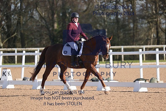 21.03.2026 Unaffiliated Dressage + Quest