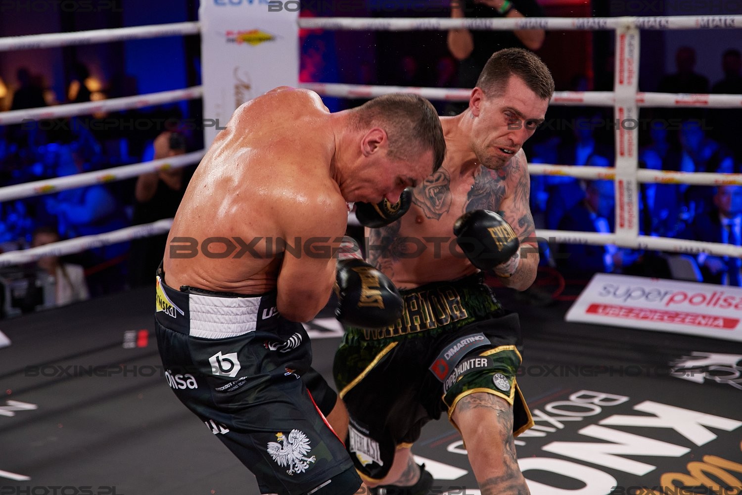 Mateusz Masternak, Jason Whateley, Nosalowy Dwor, Zakopane, Poland, KnockOut Boxing Night