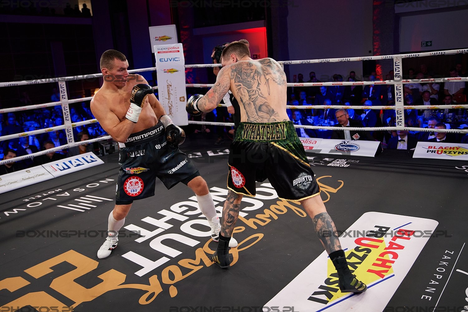 Mateusz Masternak, Jason Whateley, Nosalowy Dwor, Zakopane, Poland, KnockOut Boxing Night