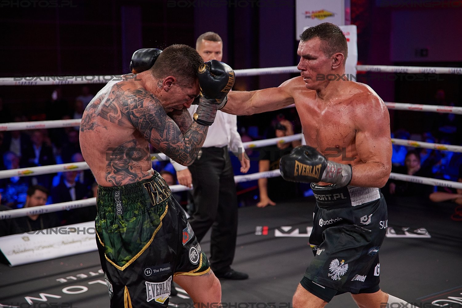 Mateusz Masternak, Jason Whateley, Nosalowy Dwor, Zakopane, Poland, KnockOut Boxing Night