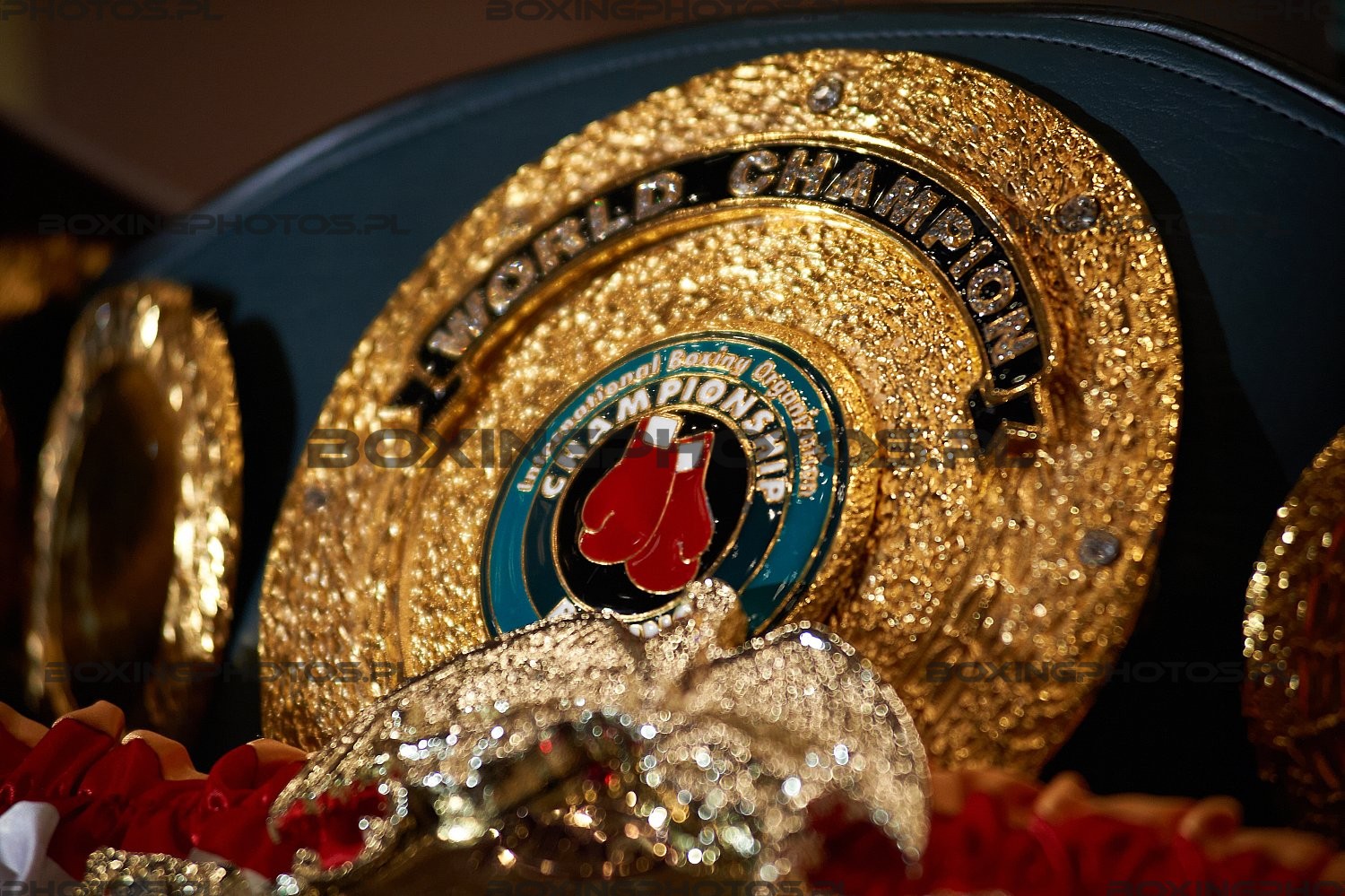 IBO Champion belt