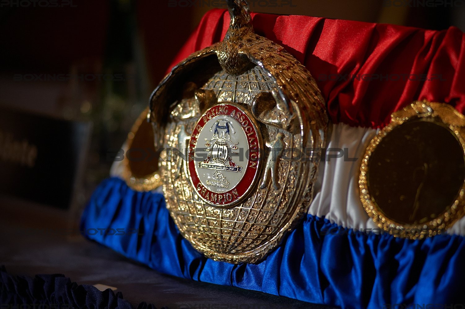 WBA world champion belt