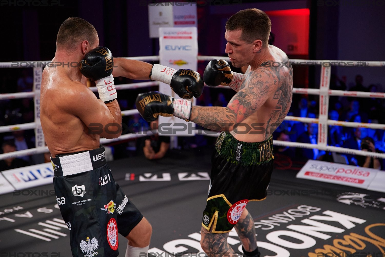 Mateusz Masternak, Jason Whateley, Nosalowy Dwor, Zakopane, Poland, KnockOut Boxing Night