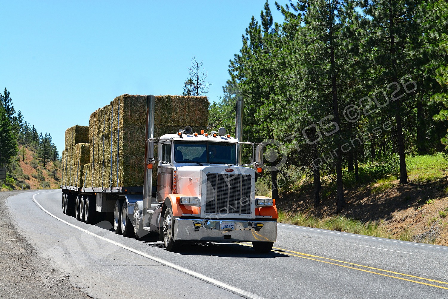 2303, Agriculture, BBB, Peterbilt, c05137z