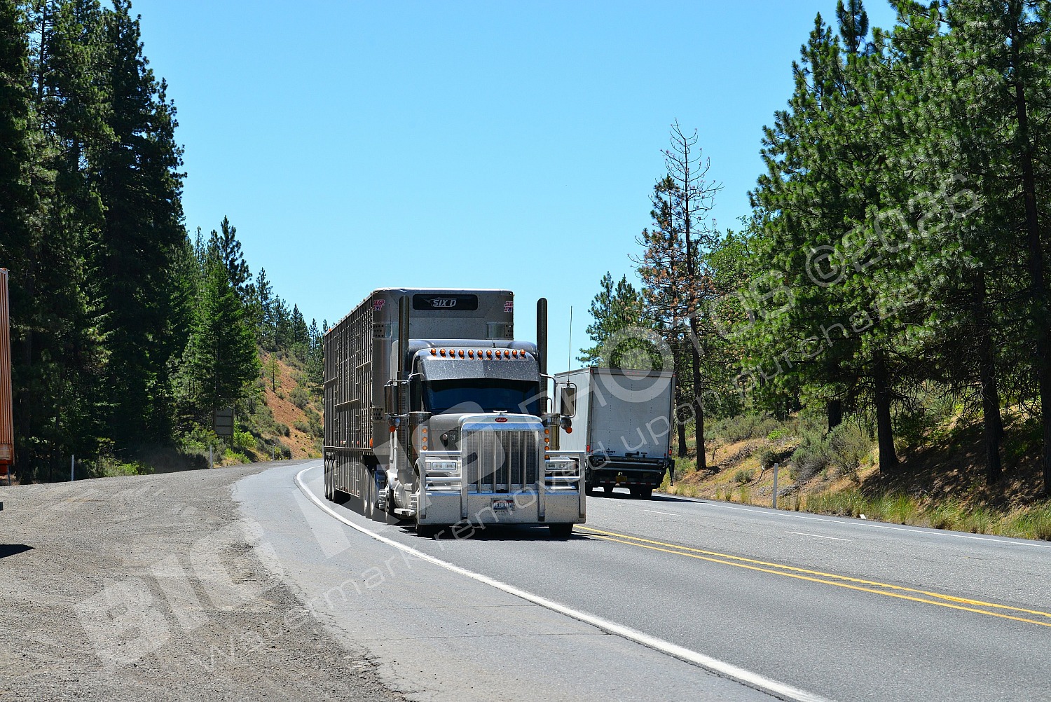 29, Agriculture, BBB, Dry Van, Peterbilt, Six D, Six D 2, bi3217
