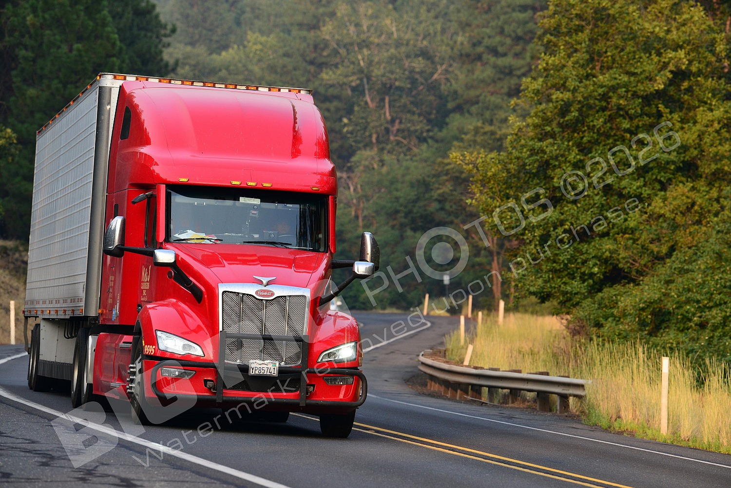 8955, BBF, Navistar International, Reefer, yp85741