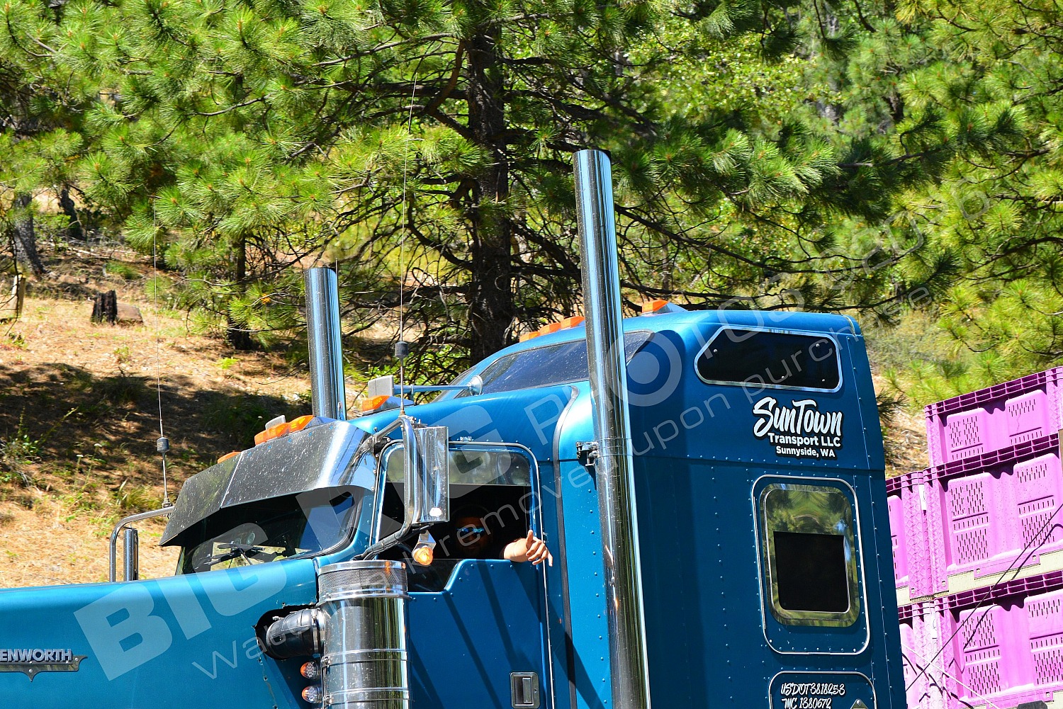 1, Agric, BBB, SunTown Transport LLC, SunTown Transport LLC 1, f