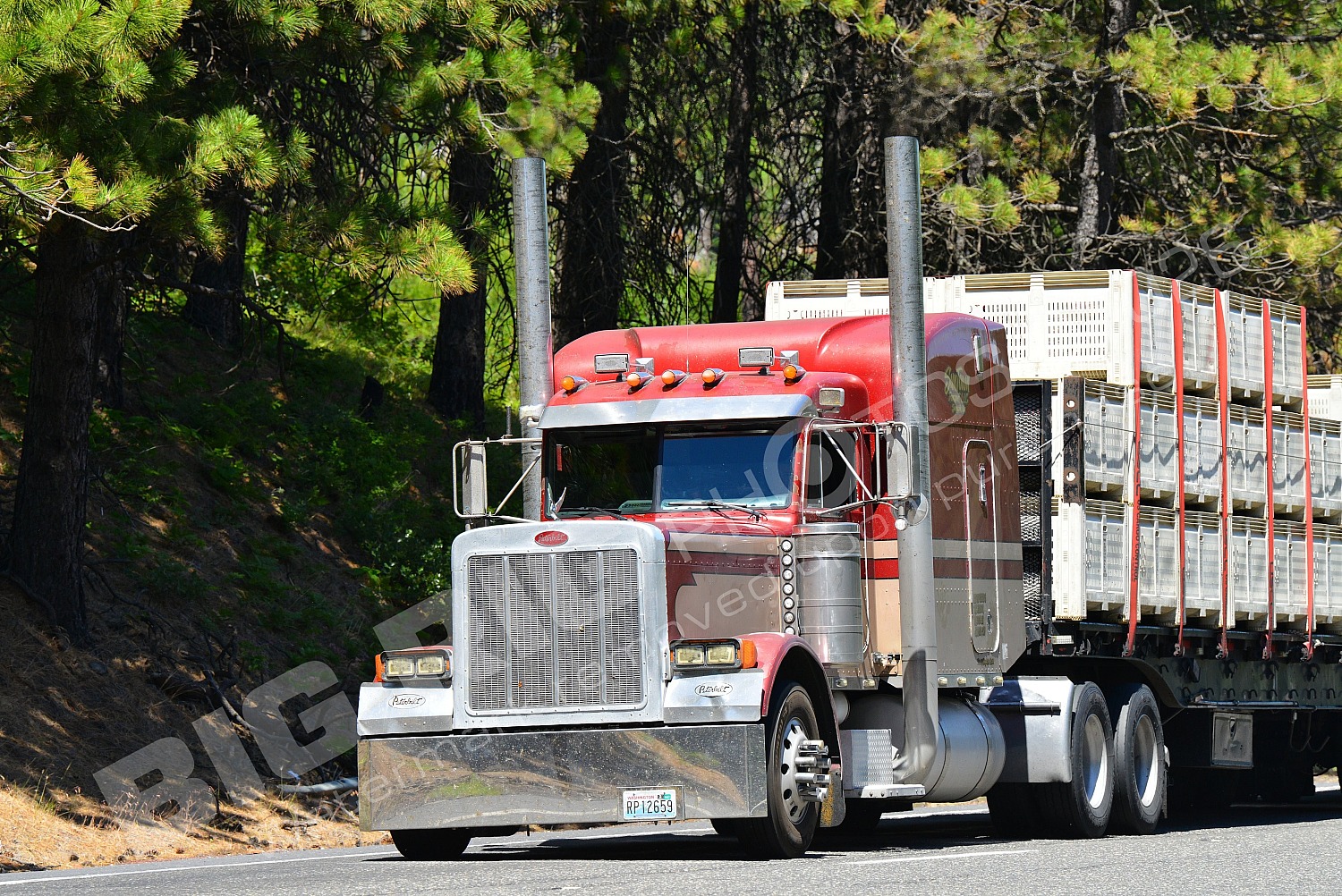 61, Agriculture, BBB, Button, Button 61, Peterbilt, rp12659