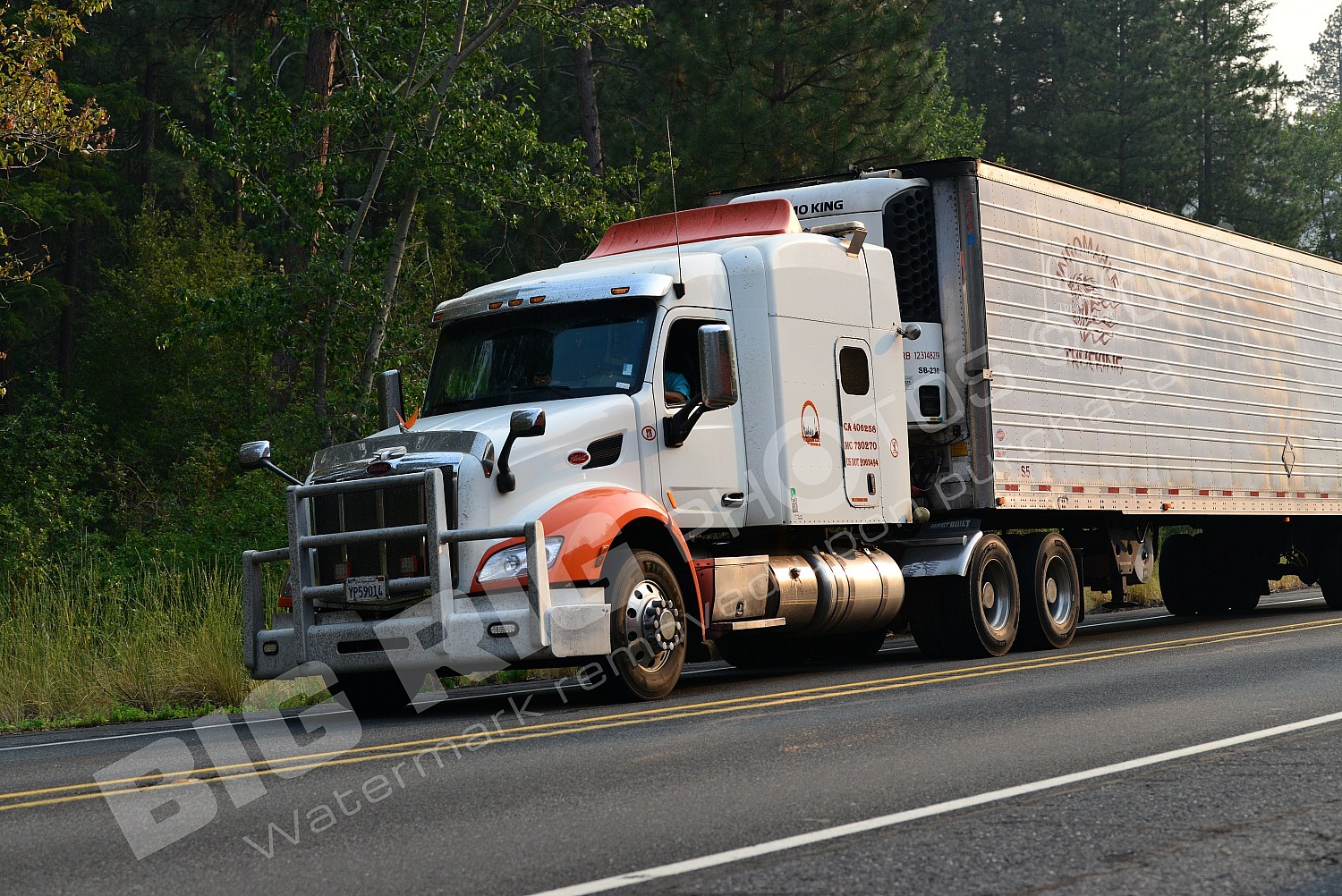 210, BBF, Generic, Peterbilt, Reefer, yp59014