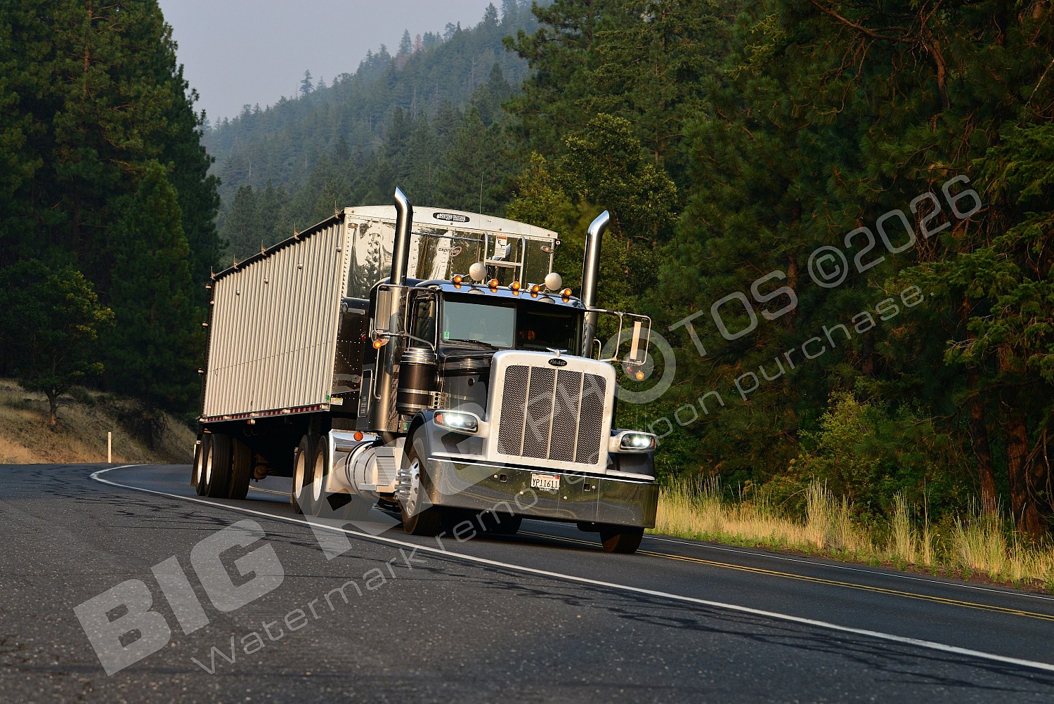 Agriculture, BBF, Dry Van, Logger, Peterbilt, yp11611