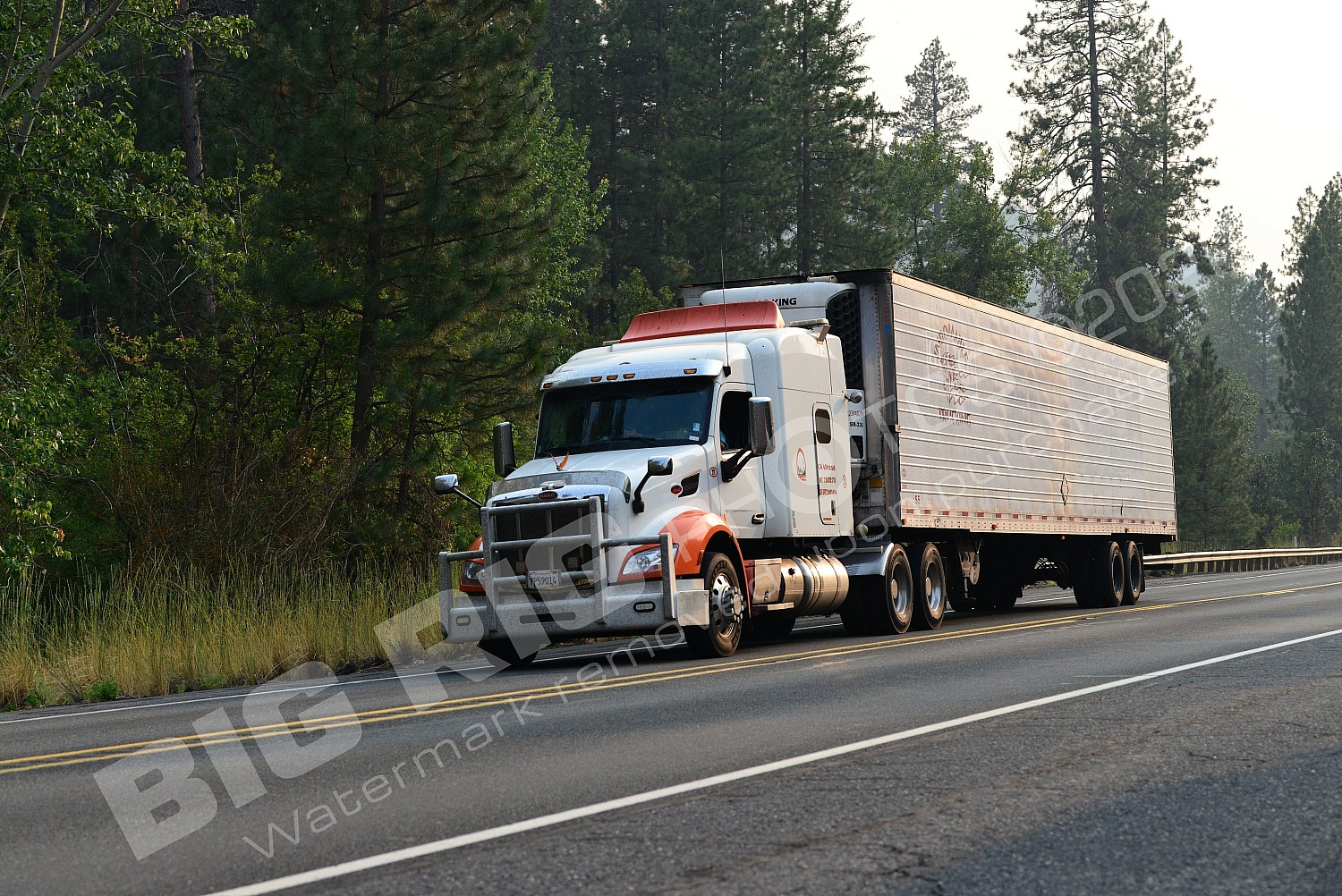 210, BBF, Generic, Peterbilt, Reefer, yp59014